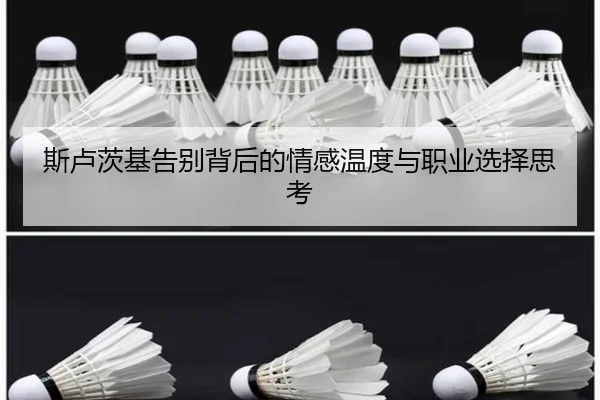 斯卢茨基告别背后的情感温度与职业选择思考